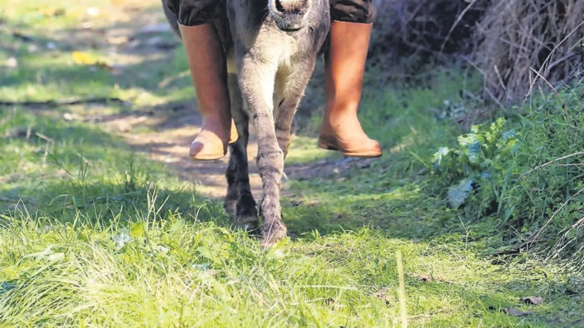 Engel tanımayan yaşam: Raif Kurt’un yolunu Magare açıyor
