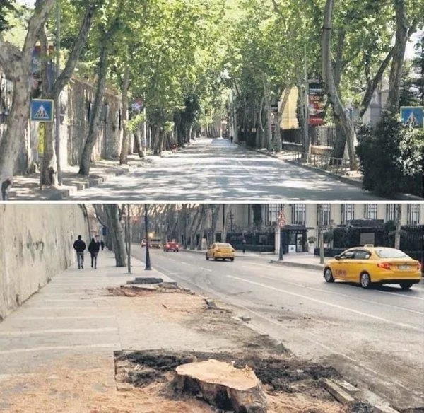 geziciler-ve-sozde-cevrecilerin-olum-sessizligine-burundugu-chpli-ibbnin-agac-katliamina-ak-partiden-bir-tepki-1647627649275.jpeg Geziciler ve sözde çevrecilerin ölüm sessizliğine büründüğü CHP'li İBB'nin ağaç katliamına AK Parti'den bir tepki daha!-3