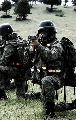 Cudi Dağı'nda 4 terörist öldürüldü