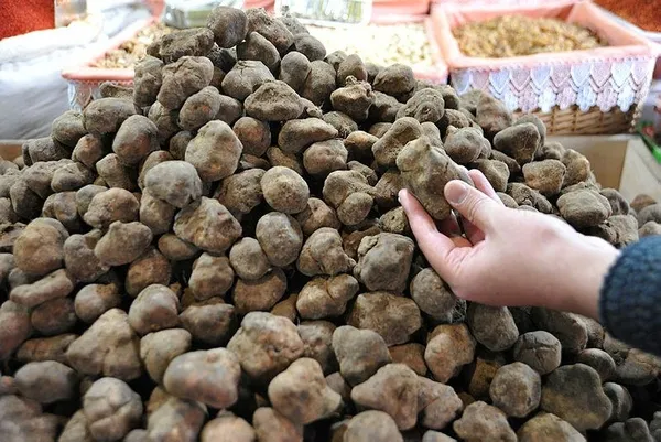Keme mantarının kilosu 175 liradan satılıyor-4