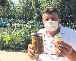 Akıl k’arı’ değil!