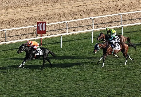 35 yıl sonra tarihe geçti! Cumhurbaşkanlığı Koşusu birincisi olan Burgas fırtına gibi esiyor-6