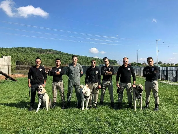 İstanbul Emniyeti'nde görev alan kangal ve akbaş cinsi köpeklerin zorlu eğitimi görüntülendi-2