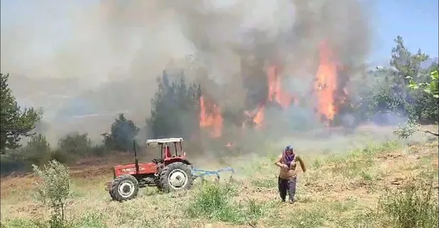 Adana Kozan’da anız yangını! Zeytin bahçesi ve ormanlık alana sıçradı ekipler kontrol altına aldı