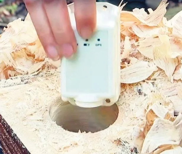 1951 sonrası gelen enflasyon rakamları Almanya’yı sokağa döktü!-10