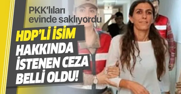 PKK’lıları evinde saklıyordu! HDP’li ismin cezası belli oldu!