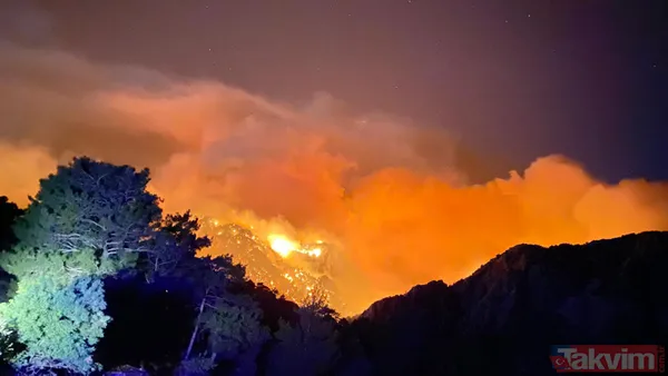 Kan kaybeden PKK, Türkiye'nin ormanlarını yakıyor: Yunanistan'da eğitim gördüler hedeflerinde turistik bölgeler var - 50