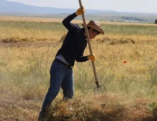 Çiftçiye 261 milyon lira hibe