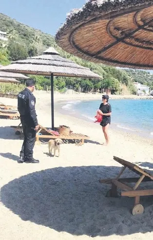 Bodrum'da zenginler sokağa çıkma kısıtlamasına aldırmadı