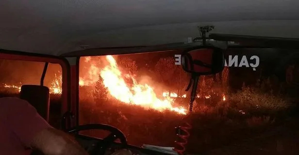Son dakika: Çanakkale’nin Biga ilçesinde orman yangını