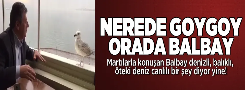 Nerede goygoy orada Balbay