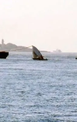 Sarayburnu faciasında 3 tutuklama