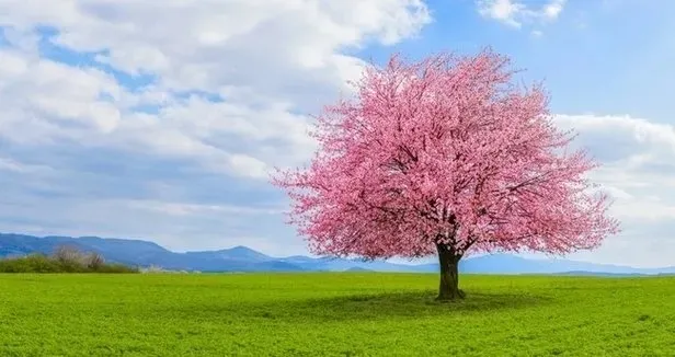 cemre-ne-zaman-dusecek-2024-ilk-cemre-ayin-kacinda-dusecek-havaya-suya-ve-topraga-cemre-hangi-gunler-duser-1705230006262.jpeg İlk cemre ayın kaçında düşecek? Cemre ne zaman düşecek 2024? Havaya, suya ve toprağa cemre hangi günler düşer?-5