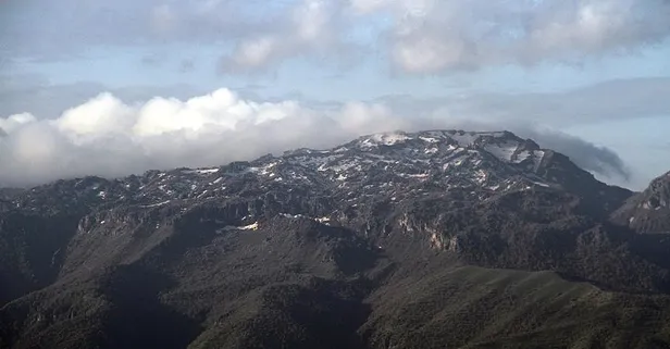 Cudi Dağı nerede? Cudi Dağı hangi il sınırlarında?