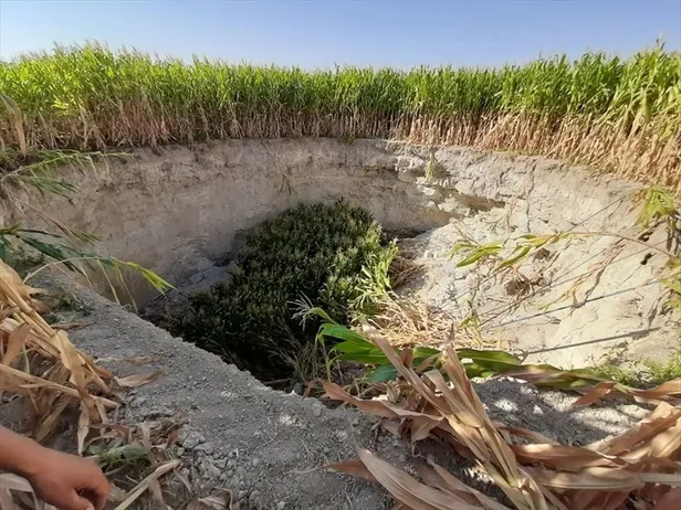 O ilimizde yaşayanları şoke eden olay! Tarlada çalışırken bir anda gördü çok büyük ve korkutucuydu!-5