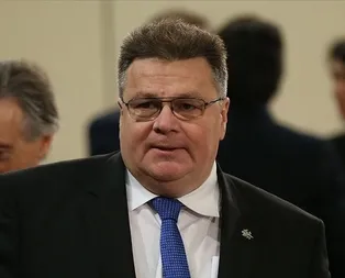 Son dakika: Litvanya Dışişleri Bakanı Linkeviciustan flaş Türkiye açıklaması