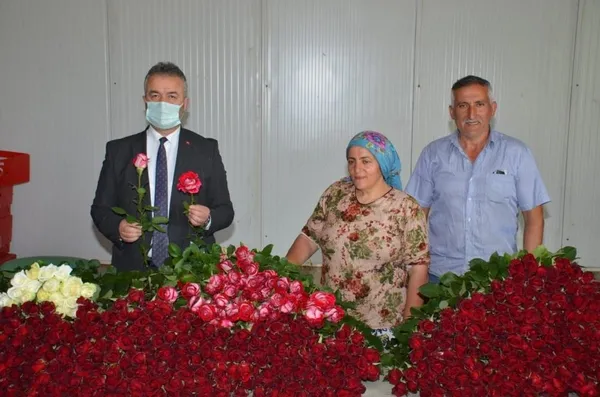 ithalatin-onune-gecmek-icin-240-metrekare-alanda-rodos-gulu-yetistirmeye-basladi-simdilerde-yilda-2-milyon-adet-gul-uretiyor-1621493852577.jpg İthalatın önüne geçmek için 240 metrekare alanda Rodos gülü yetiştirmeye başladı şimdilerde yılda 2 milyon adet gül üretiyor-2