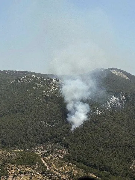mugla-milasta-orman-yangini-35-saatte-kontrol-altina-alindi-1718206654778.jpeg