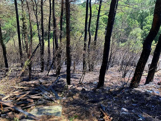 Son dakika: İstanbul'da ormanlara giriş yasağı! Vali Yerlikaya duyurdu: Ormanlara giriş yasağı 31 Temmuz'a kadar sürecek! İşte mangal yapmanın yasak olduğu yerler...-5