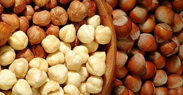 İsteksizliğe fındık