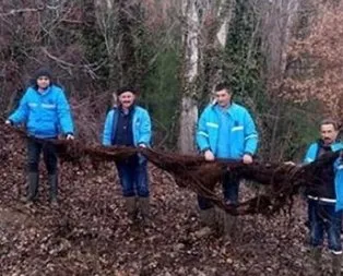 İçme suyu hattından çıktı!