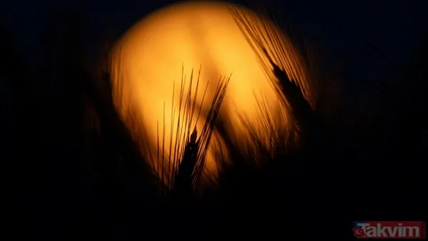 Geceyi aydınlatacak dolunay geliyor! Şubat Ayı Dolunayı tarihi ve burçlara etkisi - 6