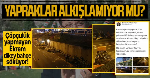 Çöpleri toplayamayan İBB, gece yarısı dikey bahçelerin sökümüne yeniden başladı