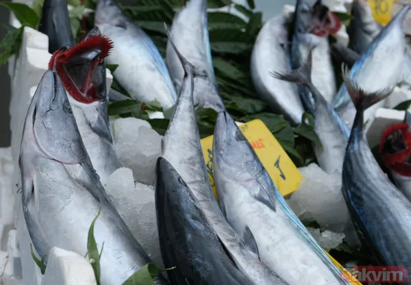 Denizden palamut fışkırdı! Tanesi 20 liraya düştü! Vatandaşın ve esnafın yüzü gülüyor - 11