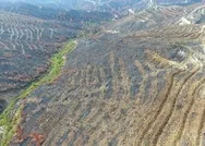 Tarım ve Orman Bakanı Bekir Pakdemirli: Hataydaki yangının izlerini hızlıca siliyoruz