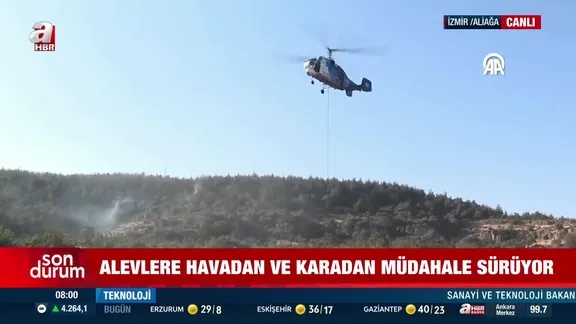 İzmir Aliağa'da orman yangını!