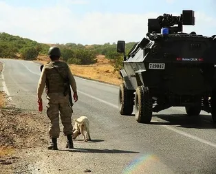 TSK: 66 terörist etkisiz hale getirildi