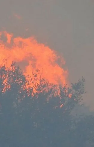 Bakan Pakdemirli orman yangınlarına ilişkin son durumu açıkladı: 15 günde 285 orman yangını kontrol altına alındı