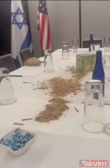 ABD’de Netanyahu’ya böcekli protesto! Washington’da çeşmeleri kana bulayıp İsrail heyetinin kaldığı otele böcekler saldılar - 4