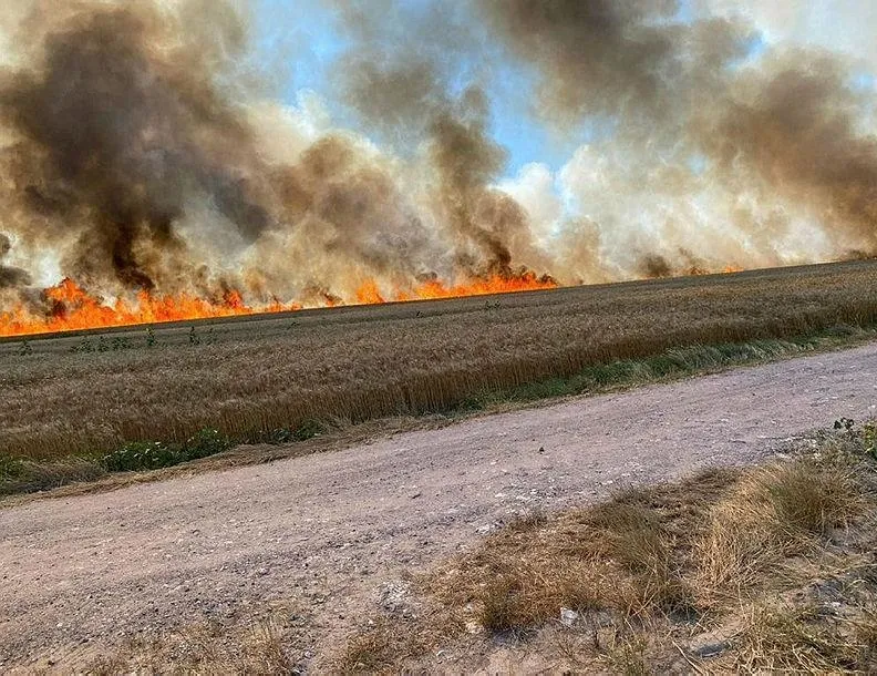 Bin dönüm buğday tarlası daha kül oldu!