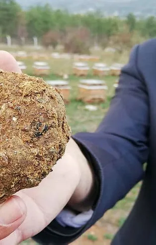 Koronavirüs sonrası talep patlaması! Litresi 2 bin lira!