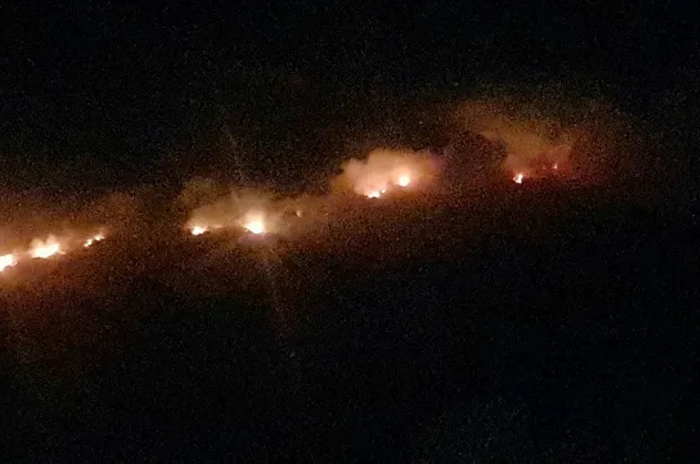 Aydın'da makilik alanda korkutan yangın