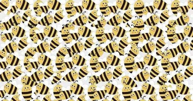 Arıların arasındaki papatyaları bulabilir misin? Ancak IQ’su 120 üstü olanlar çat diye buluyor