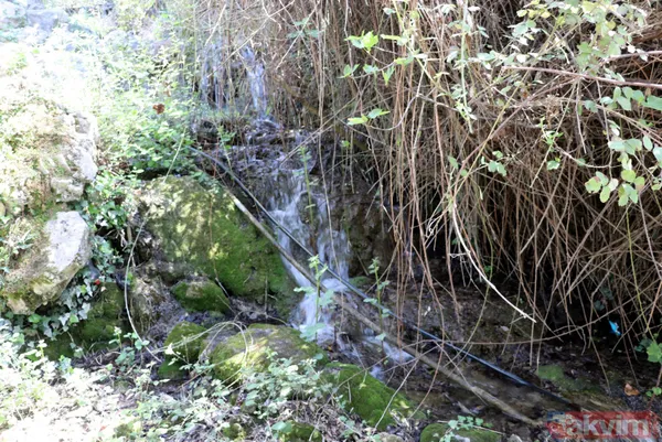 Adeta cennetten bir köşe! Kelebekler Vadisi'ni besleyen şelaleyi kurutan işletmelerin kaçak su kullanmaya devam ettikleri ortaya çıktı - 7