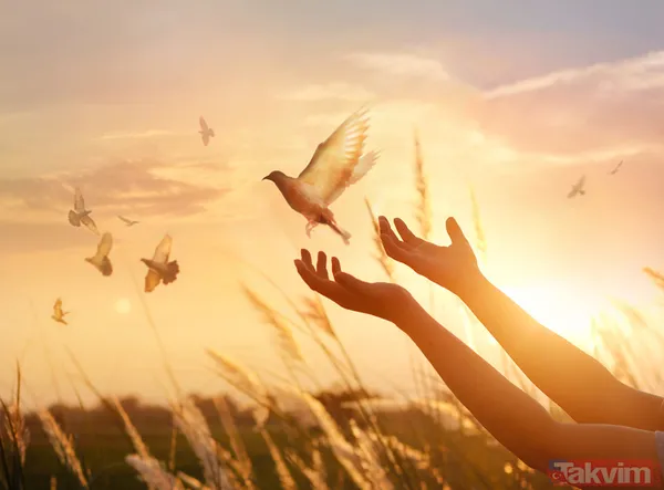 Berat Kandili’nde okunacak dualar hangileri? Berat Kandili namazı nasıl kılınır, kaç rekattır? 🙏Berat Kandili ibadetleri neler? - 13