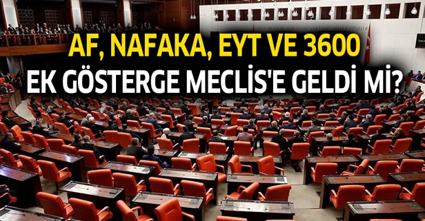 18 Kasım Meclis gündemi! Af, nafaka, EYT ve 3600 ek gösterge Meclis'e geldi mi?