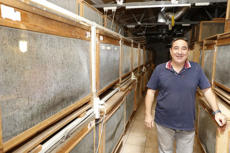 Antalya'da çekirgenin kavurmasını yapıp ailesine yediriyor! - 2