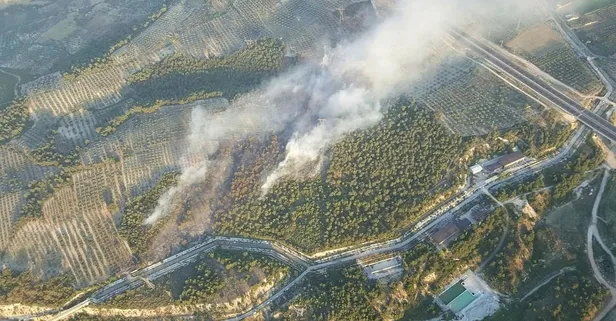 Soma'da orman yangını: 1 uçak, 5 helikopter havadan müdahale ediyor