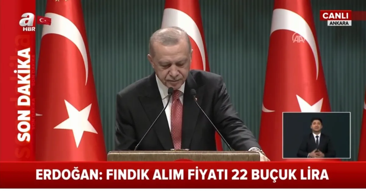 Son dakika: Başkan Erdoğan fındık alım fiyatlarını açıkladı | Fındık kilo fiyatı ne kadar oldu?