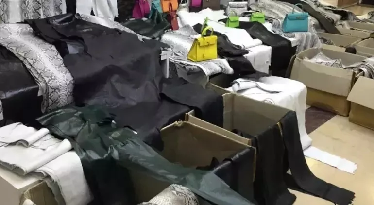 Zeytinburnu'nda baskın: Bin 501 piton yılanı ve devekuşu derileri ele geçirildi-1