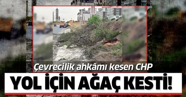 Çevrecilik ahkâmı kesen CHP, yol uğruna ağaçları katletti!