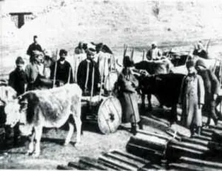 1. Dünya Savaşı'nın özel kareleri