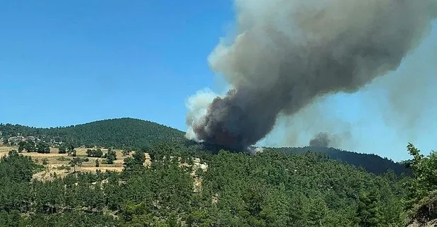 Son dakika: Çanakkale''nin Yenice ilçesinde orman yangını