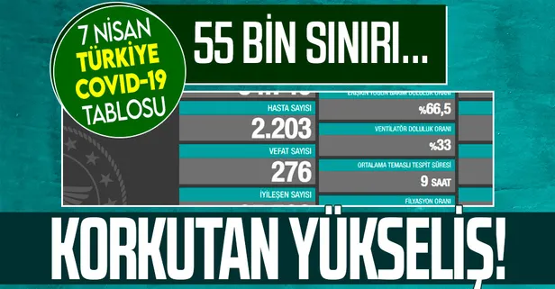 Koronavirüste son durum