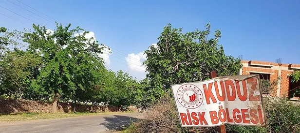Artvin’de kuduz karantinası