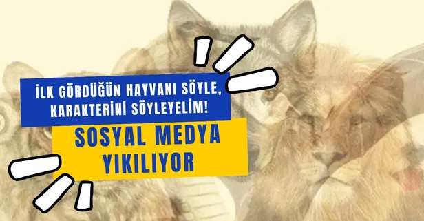 Facebook ve Instagram'ı yıkan kişilik testi: İlk gördüğün hayvanı söyle, karakterini söyleyelim!